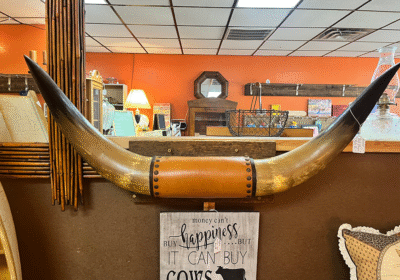 bull-horns